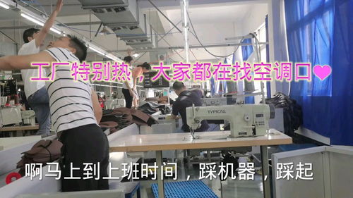 浙江工厂小伙 记录工厂忙忙碌碌的一天,打工的生活好平淡无奇啊